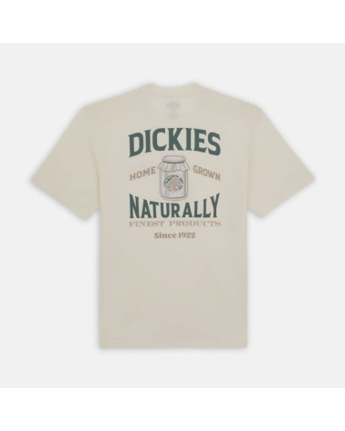 T-Shirt Elliston Dickies, shop New Surf à Dinan, Bretagne