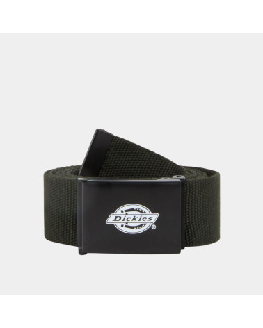 Ceinture Orcutt kaki Dickies, shop New Surf à Dinan, Bretagne