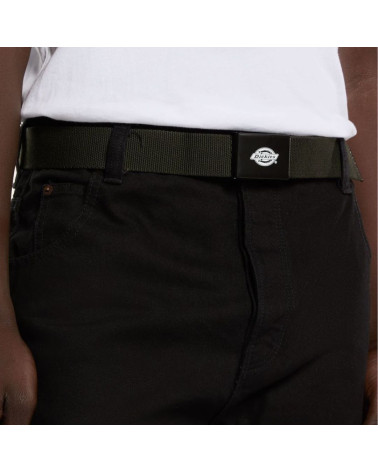 Ceinture Orcutt kaki Dickies, shop New Surf à Dinan, Bretagne