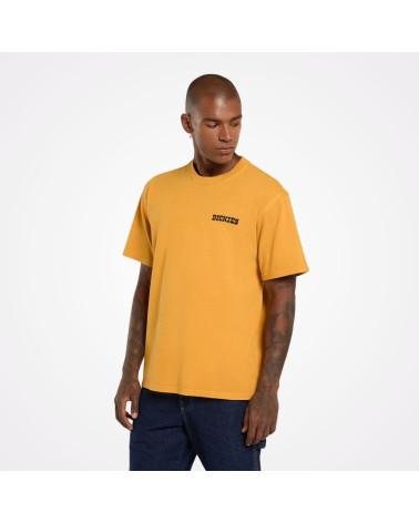 T-shirt Darrtown Dickies, shop New Surf à Dinan, Bretagne