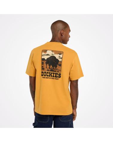 T-shirt Darrtown Dickies, shop New Surf à Dinan, Bretagne