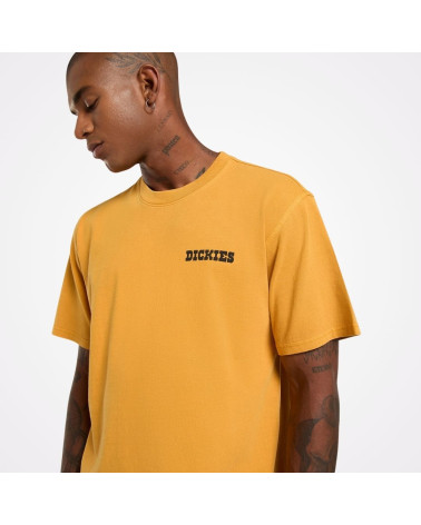 T-shirt Darrtown Dickies, shop New Surf à Dinan, Bretagne