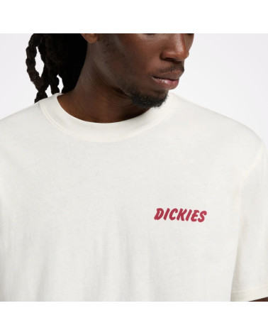 T-shirt Dry Ridge Dickies, shop New Surf à Dinan, Bretagne